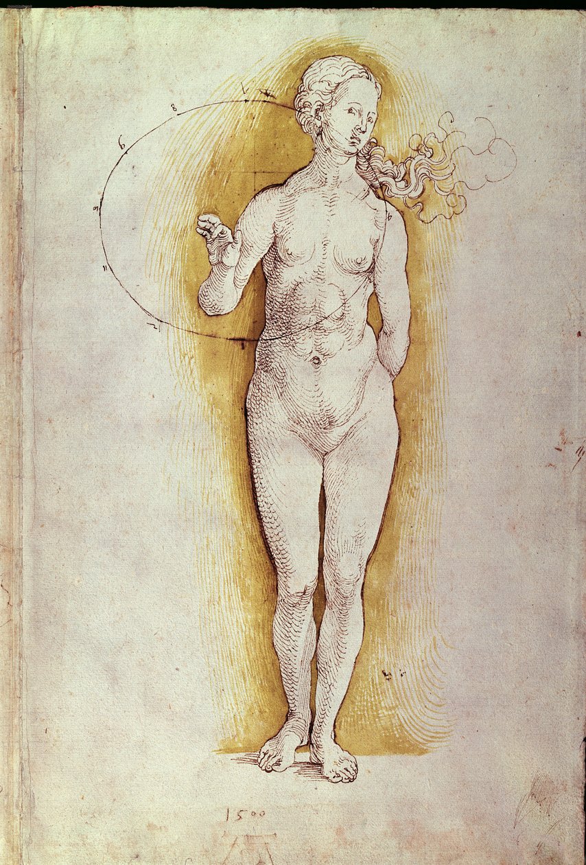 Kvinde nøgen (pen og blæk på papir) af Albrecht Dürer