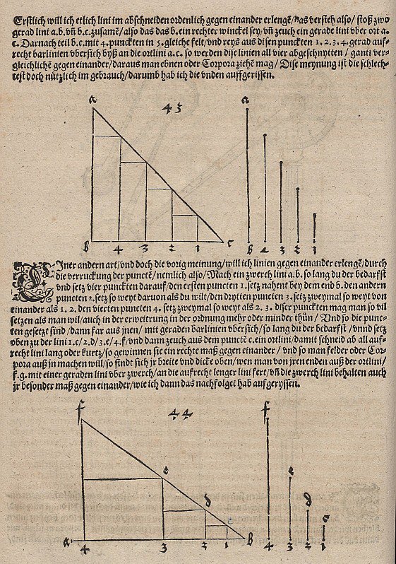 Grafisk billede af en lineær funktion og en eksponentiel funktion af Albrecht Dürer
