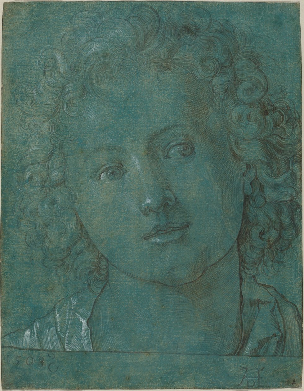 Hoved af en dreng af Albrecht Dürer