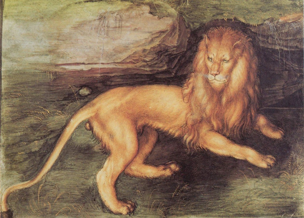 Løve af Albrecht Dürer
