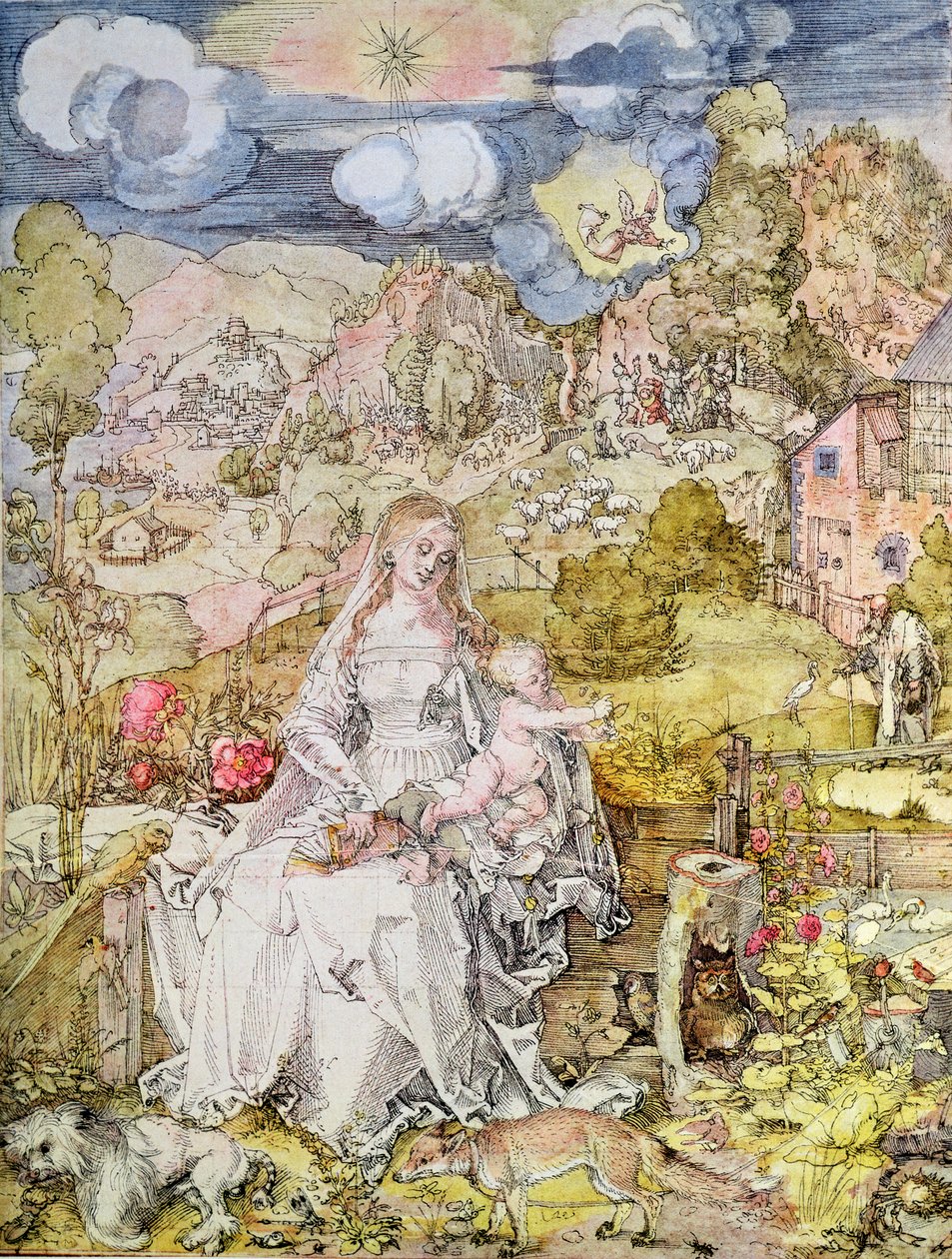 Madonna og barn (akvarel) af Albrecht Dürer