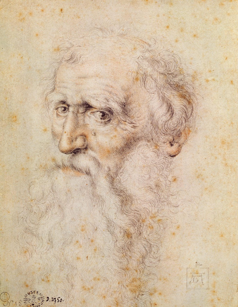 Portræt af en skægget gammel mand (rødt kridt og pierre noire) af Albrecht Dürer