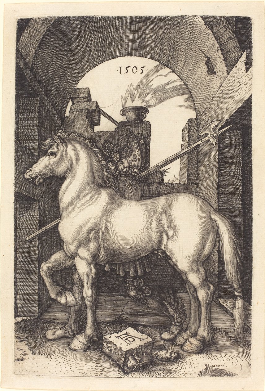 Lille hest af Albrecht Dürer