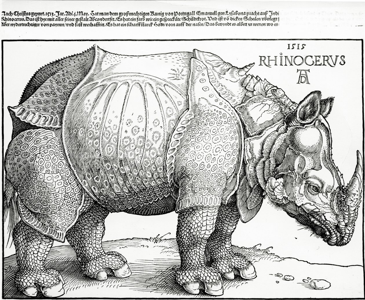 Næsehornet, 1515 af Albrecht Dürer