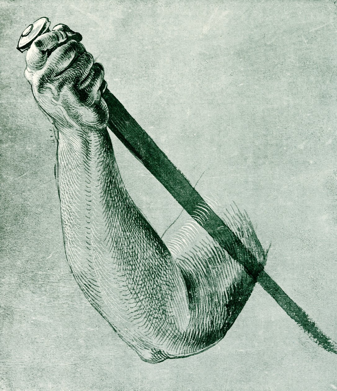 Armstudie for Lucretia af Albrecht Dürer