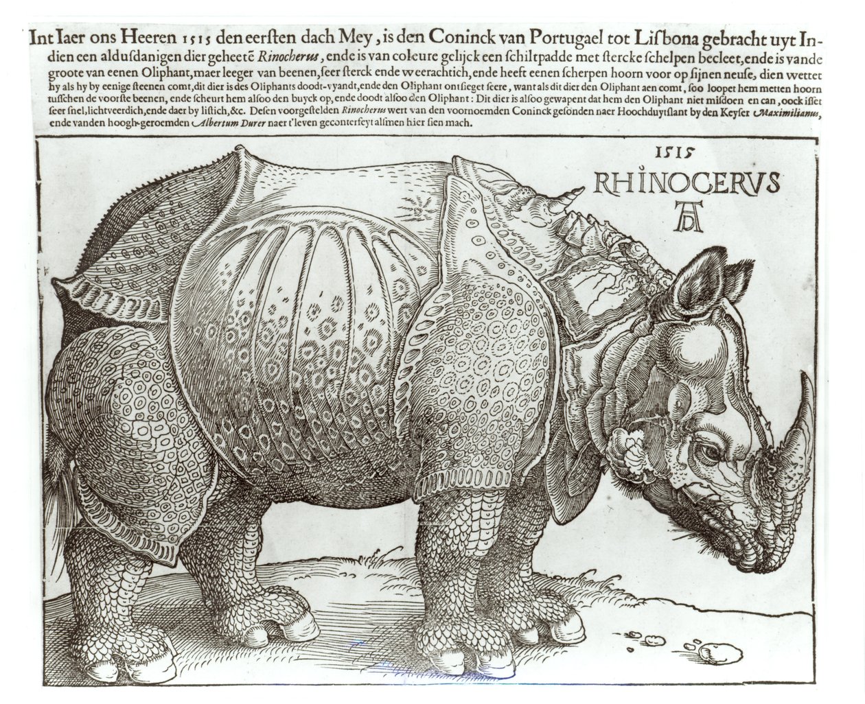 Næsehorn, tryk givet til Maximilian I (1459-1519) af kongen af Lissabon (1495-1521), 1515 af Albrecht Dürer