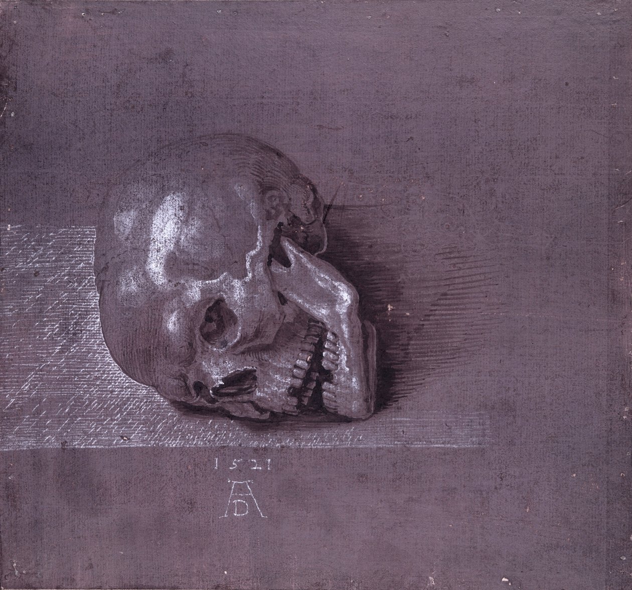 Studie af et menneskeskalle, 1521 (pen og blæk og kridt på papir) af Albrecht Dürer