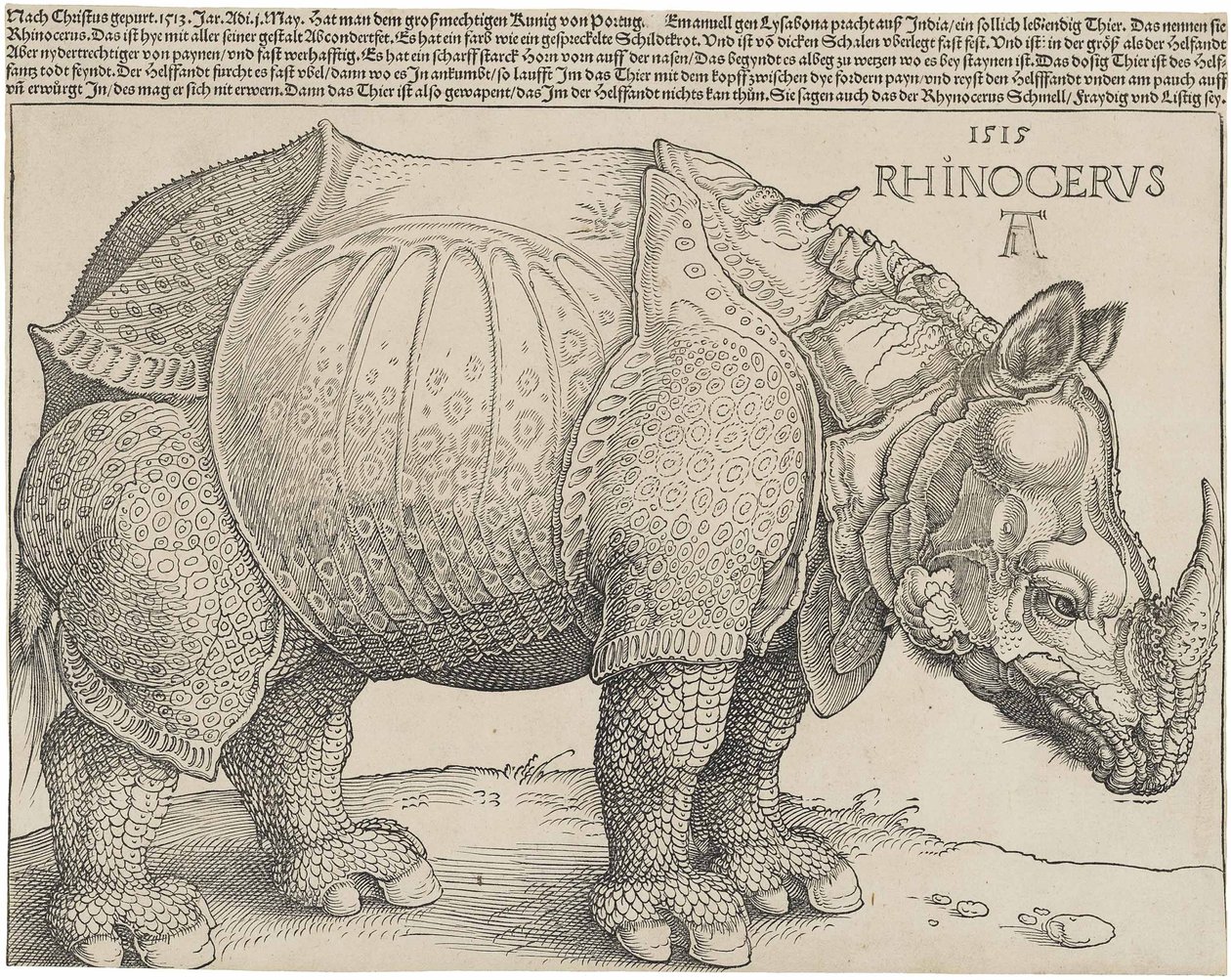 Næsehornet, 1515 af Albrecht Dürer