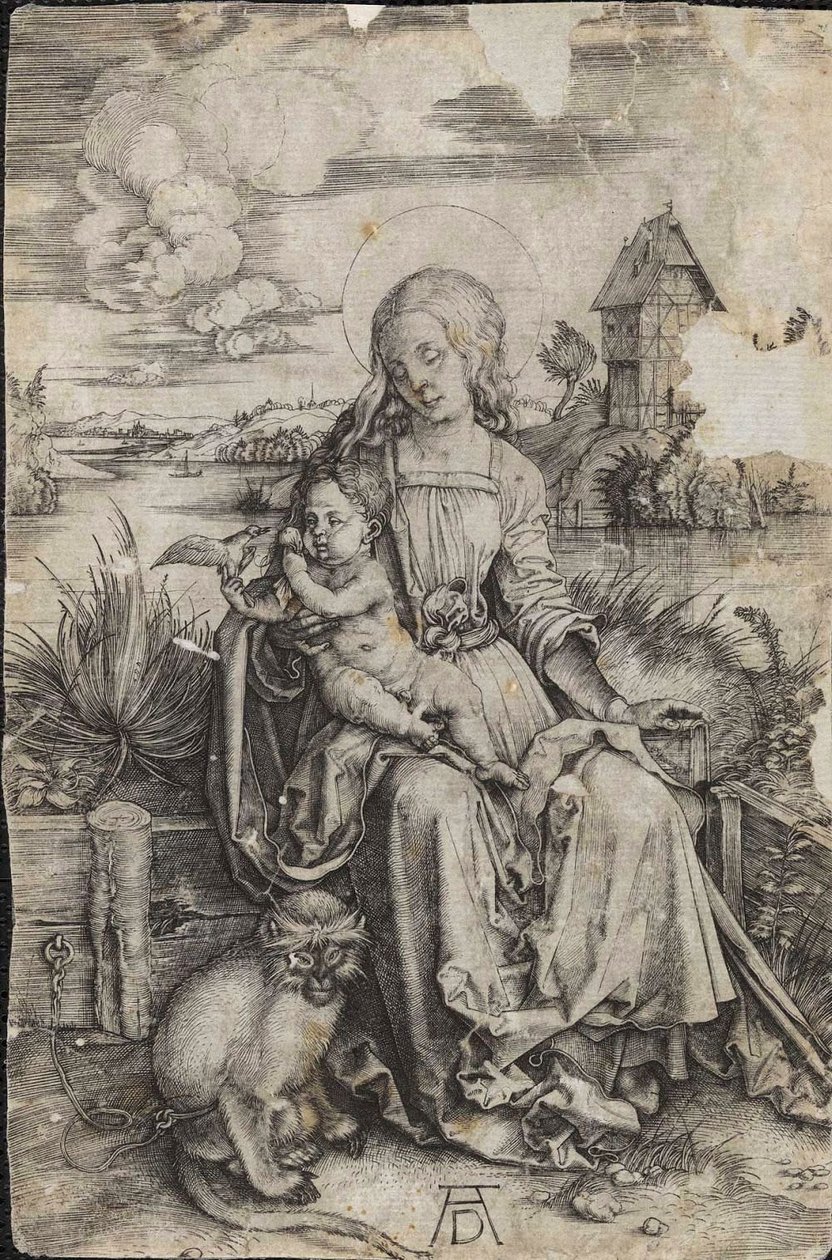 Jomfru og barn med en abe af Albrecht Dürer