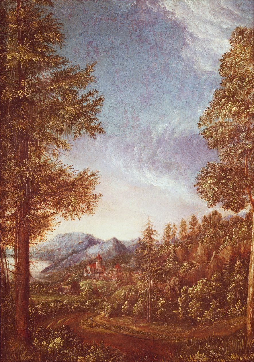 Donaulandskab med Castle Worth, ca. 1522-25 (pergament på bøg) af Albrecht Altdorfer