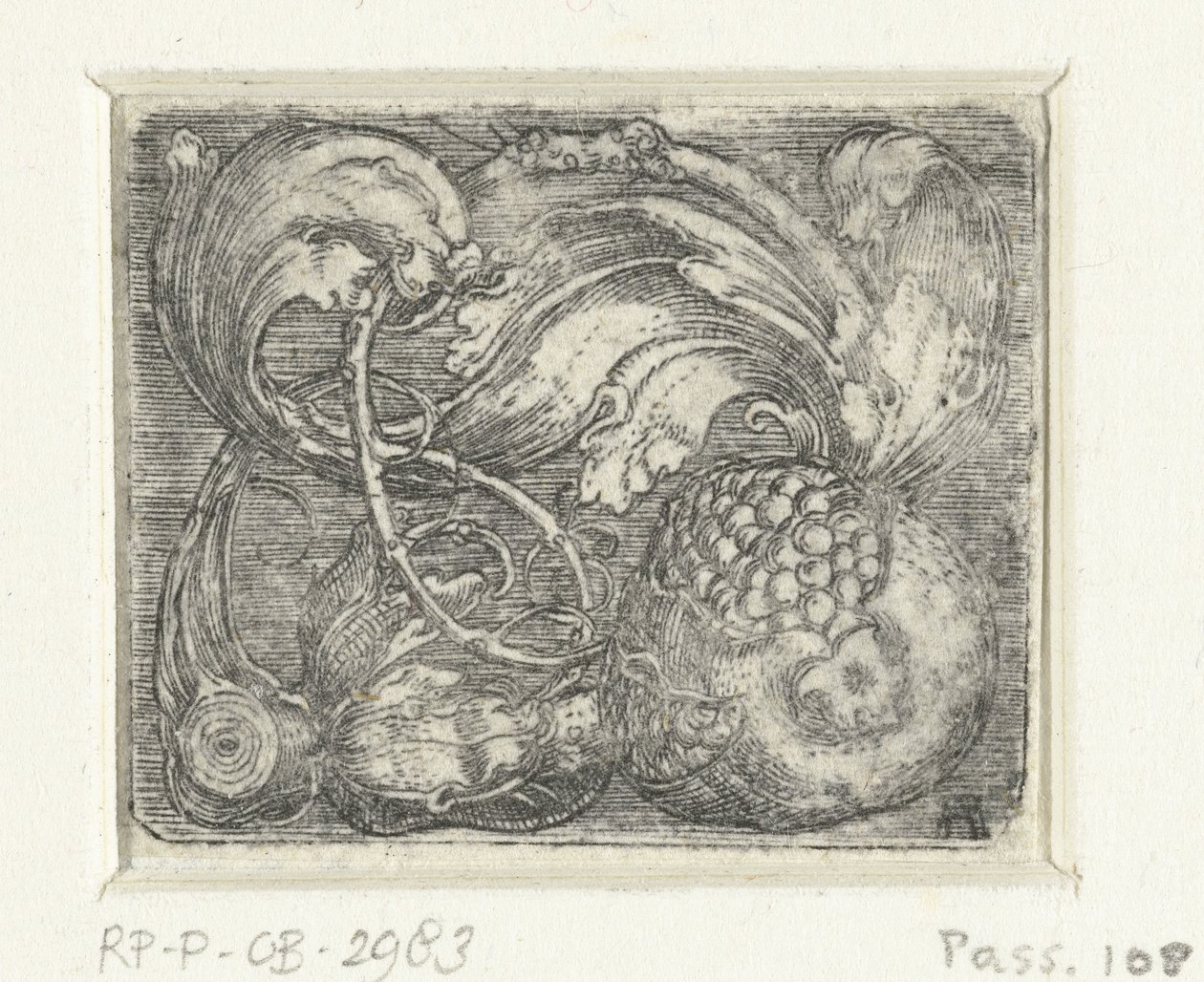 Granatæble og blade vinstokke af Albrecht Altdorfer