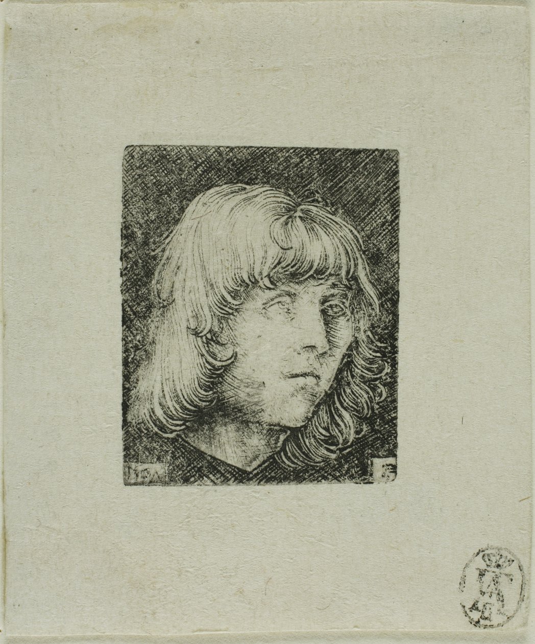 Leder af en ung mand af Albrecht Altdorfer