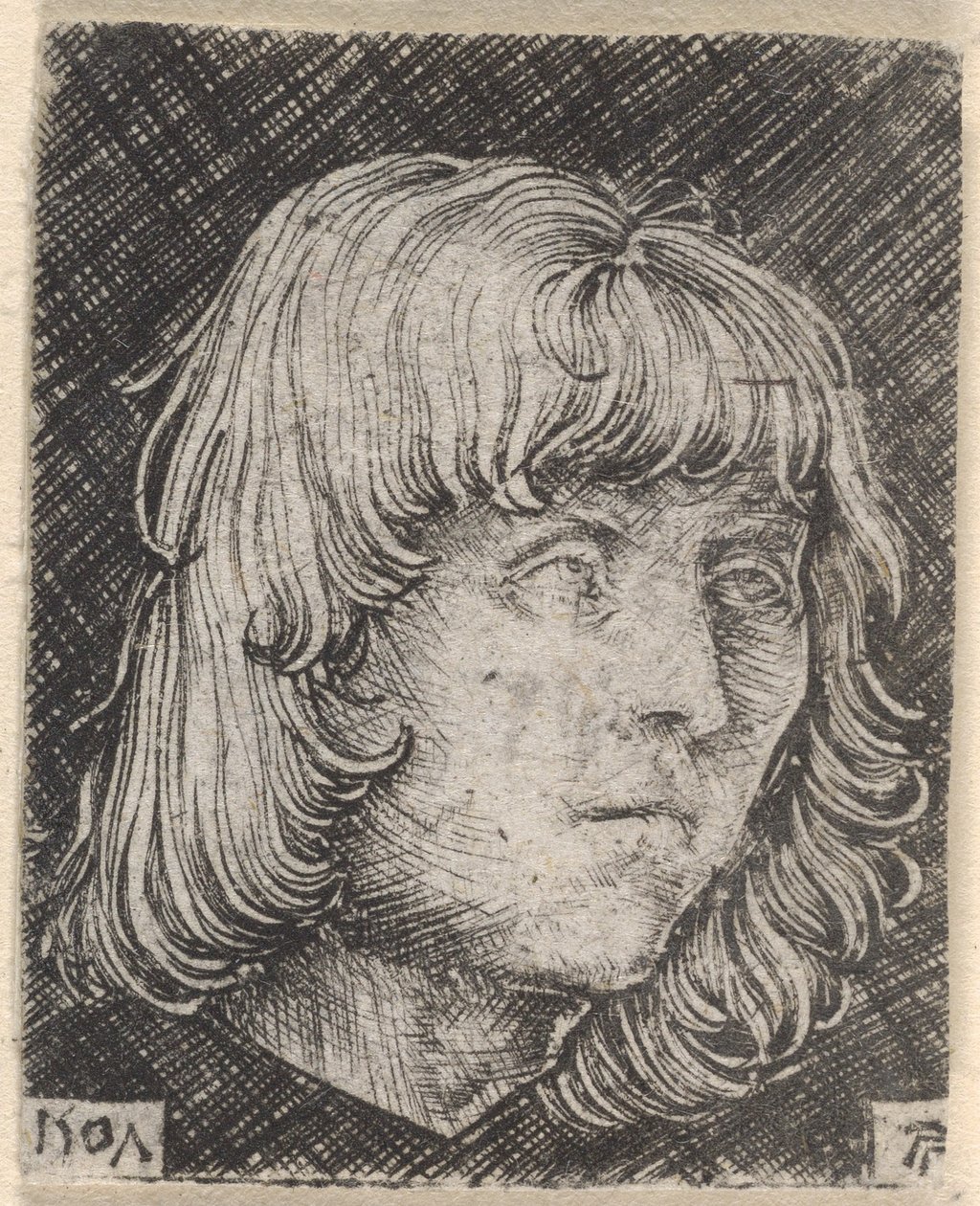 Hovedet af en ung mand af Albrecht Altdorfer