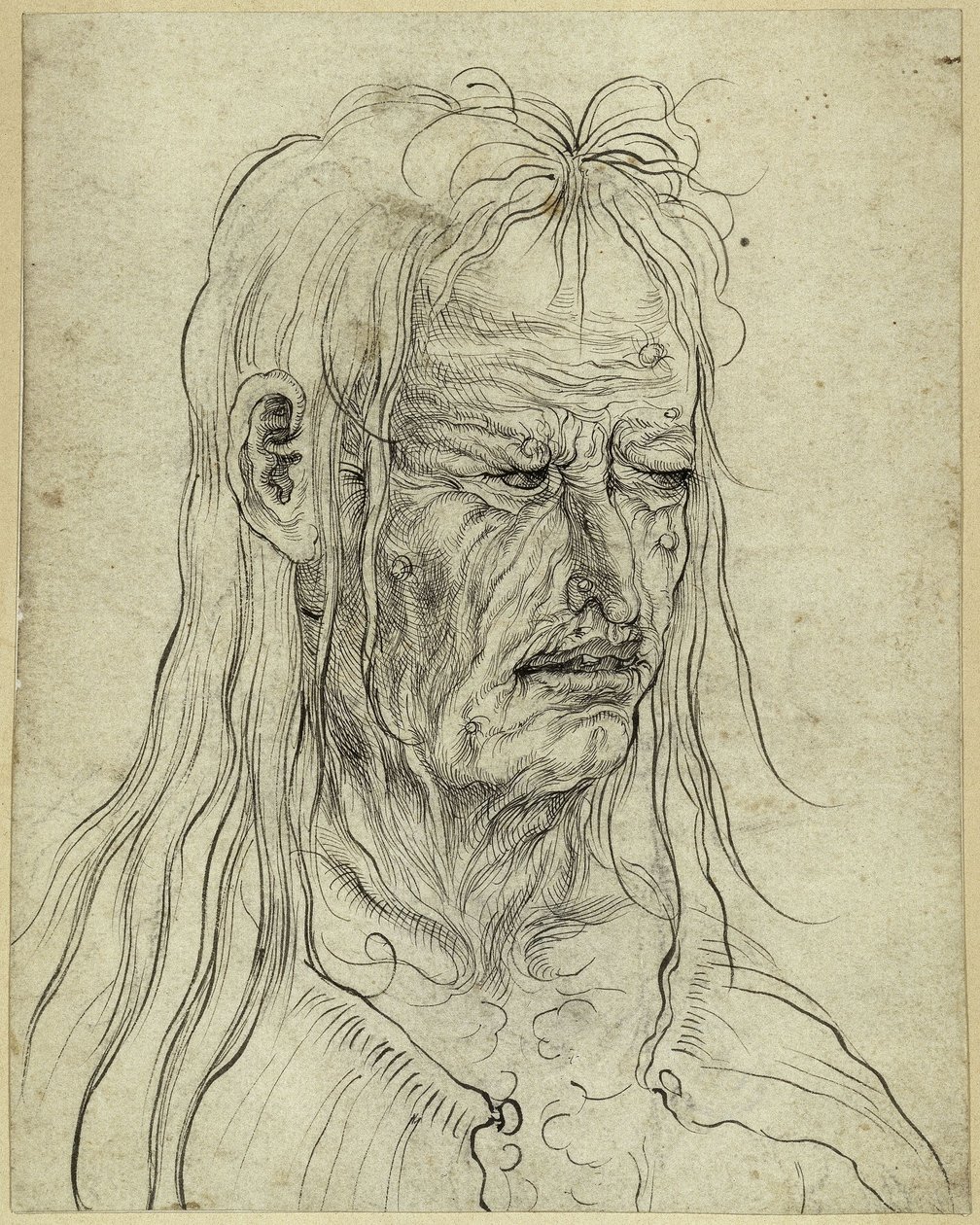 Hovedet af en grim gammel kvinde, set mod højre af Albrecht Altdorfer
