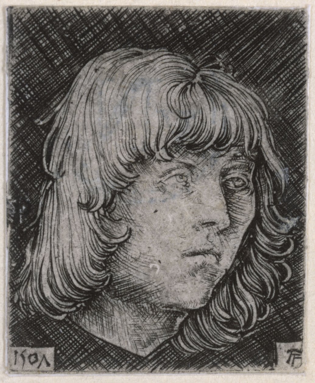 Hoved af en ung mand af Albrecht Altdorfer