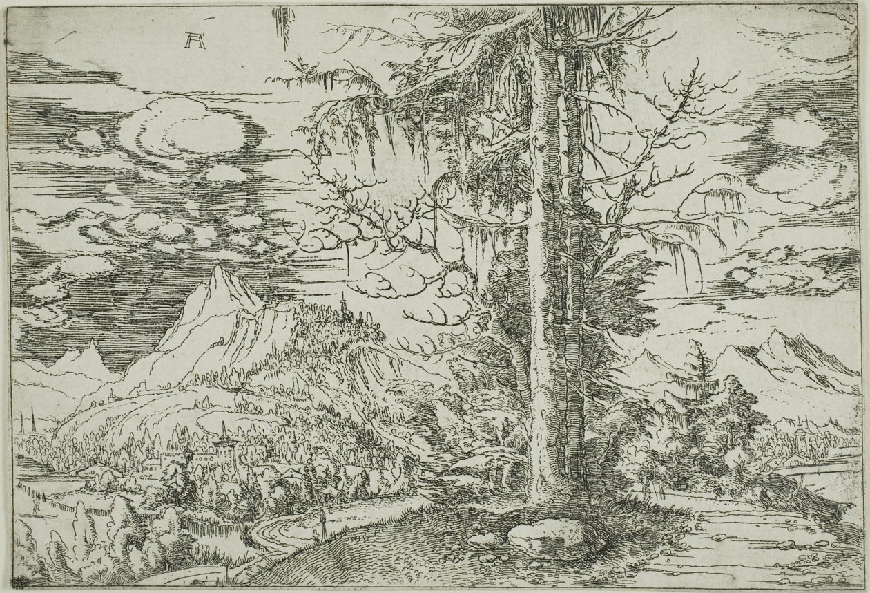 Landskab med en dobbelt gran af Albrecht Altdorfer