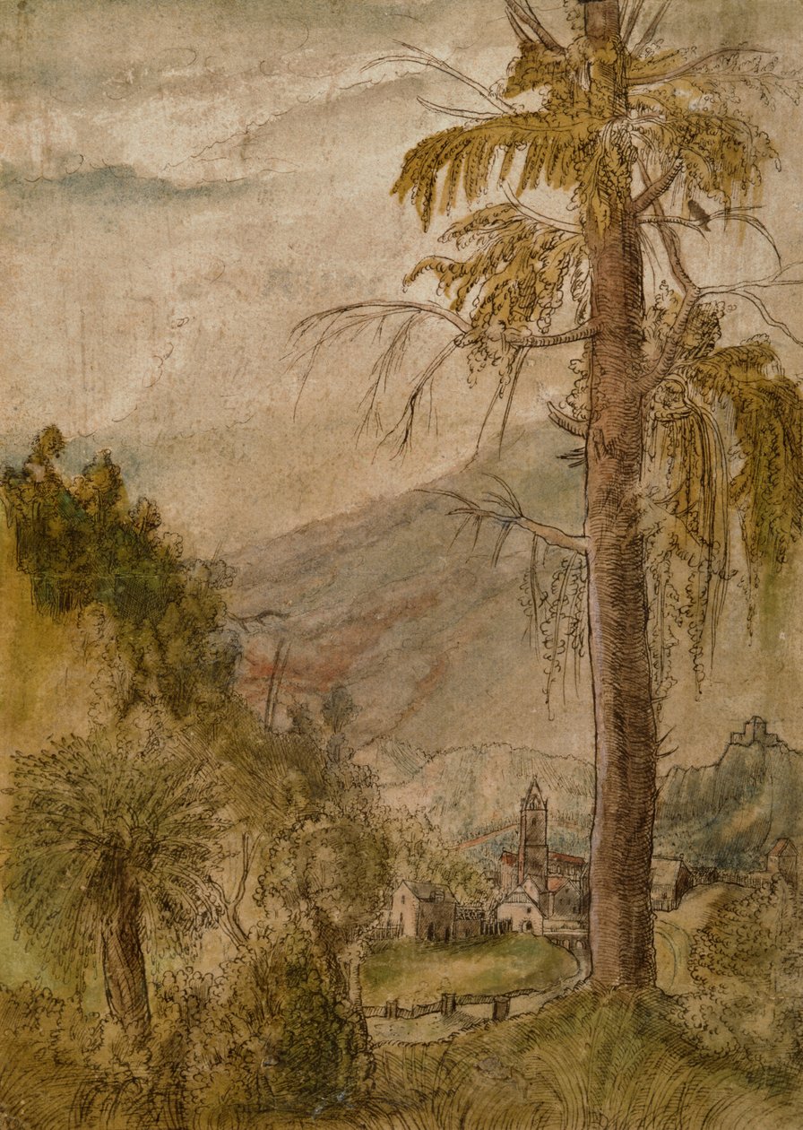 Landskab med kirke af Albrecht Altdorfer