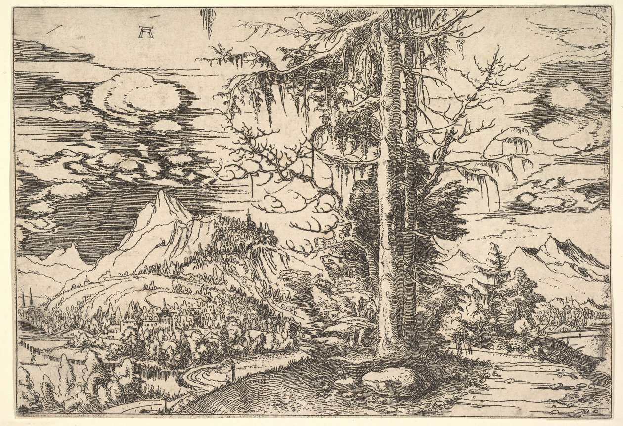 Landskab med dobbeltgran, ca. 1521-22. af Albrecht Altdorfer
