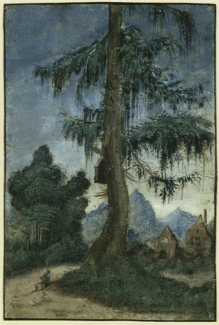 Landskab med gran af Albrecht Altdorfer