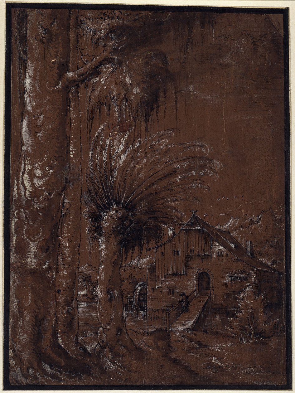 Landskab med vandmølle af Albrecht Altdorfer