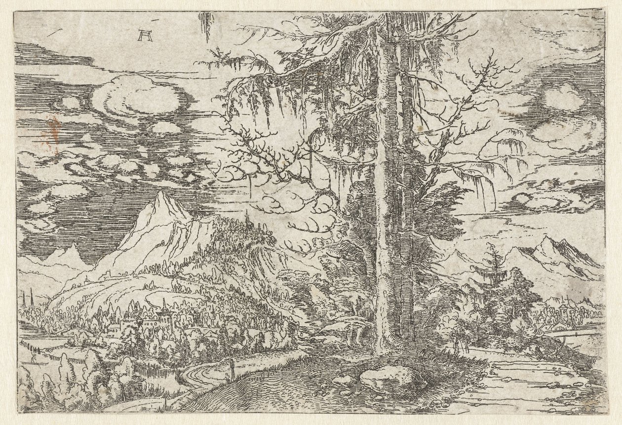 Landskab med dobbeltgran af Albrecht Altdorfer