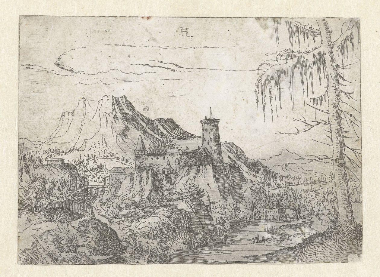 Landskab med stort slot af Albrecht Altdorfer