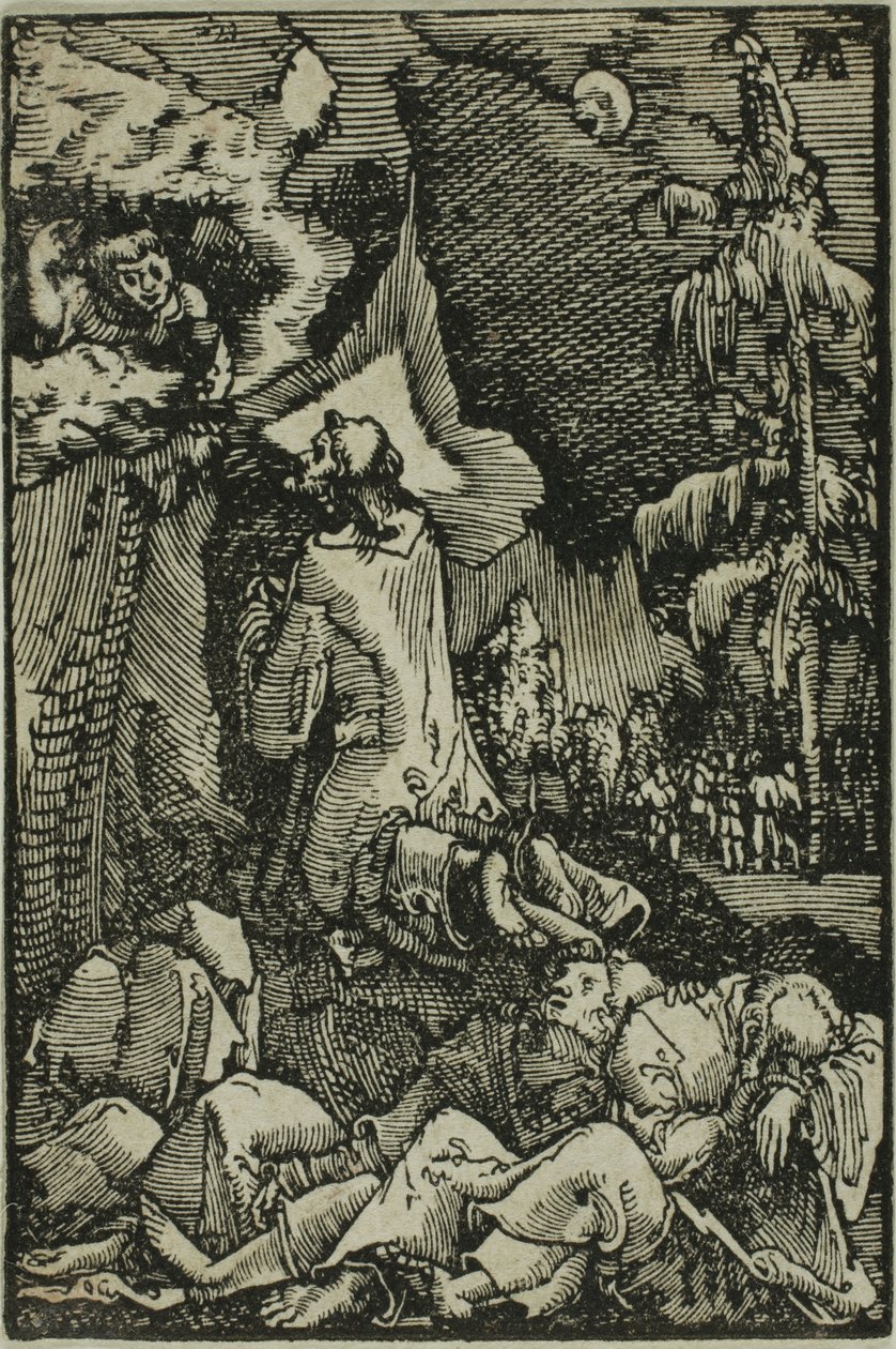 Kvalen i haven, fra Menneskets fald og forløsning af Albrecht Altdorfer