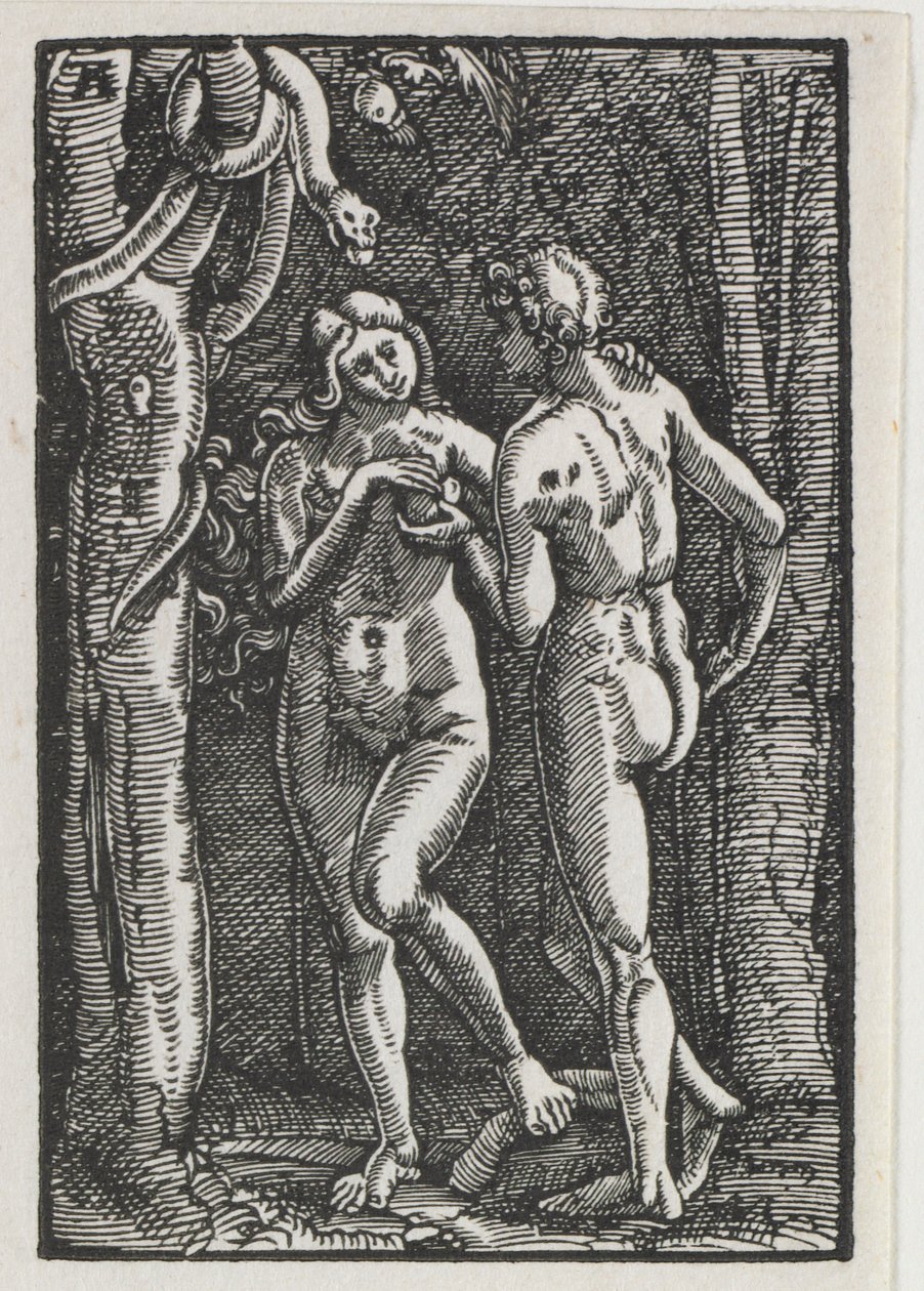 Menneskets fald og forløsning: Adam og Eva spiser den forbudte frugt af Albrecht Altdorfer