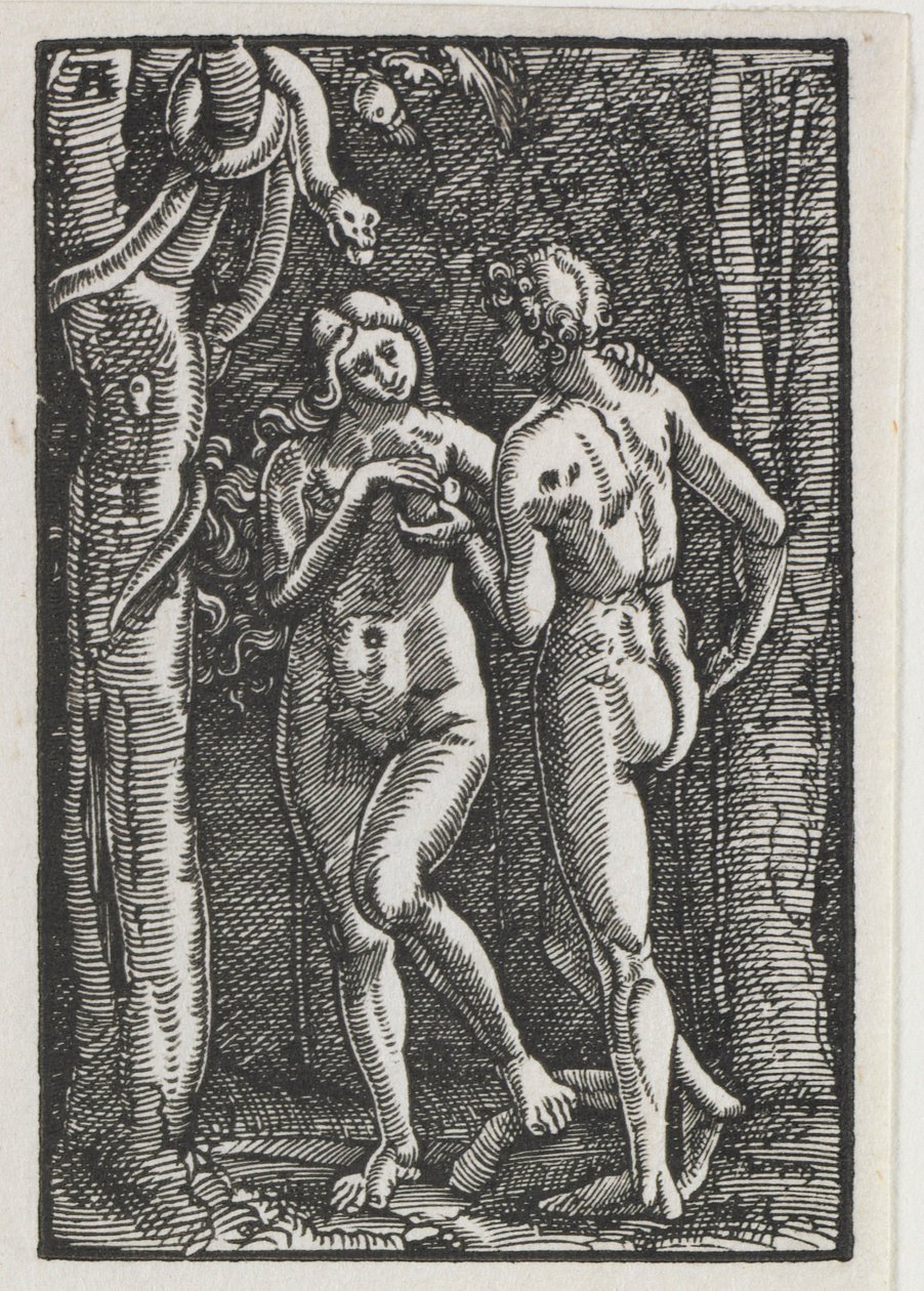 Menneskets fald og forløsning: Adam og Eva spiser den forbudte frugt, ca. 1513. af Albrecht Altdorfer