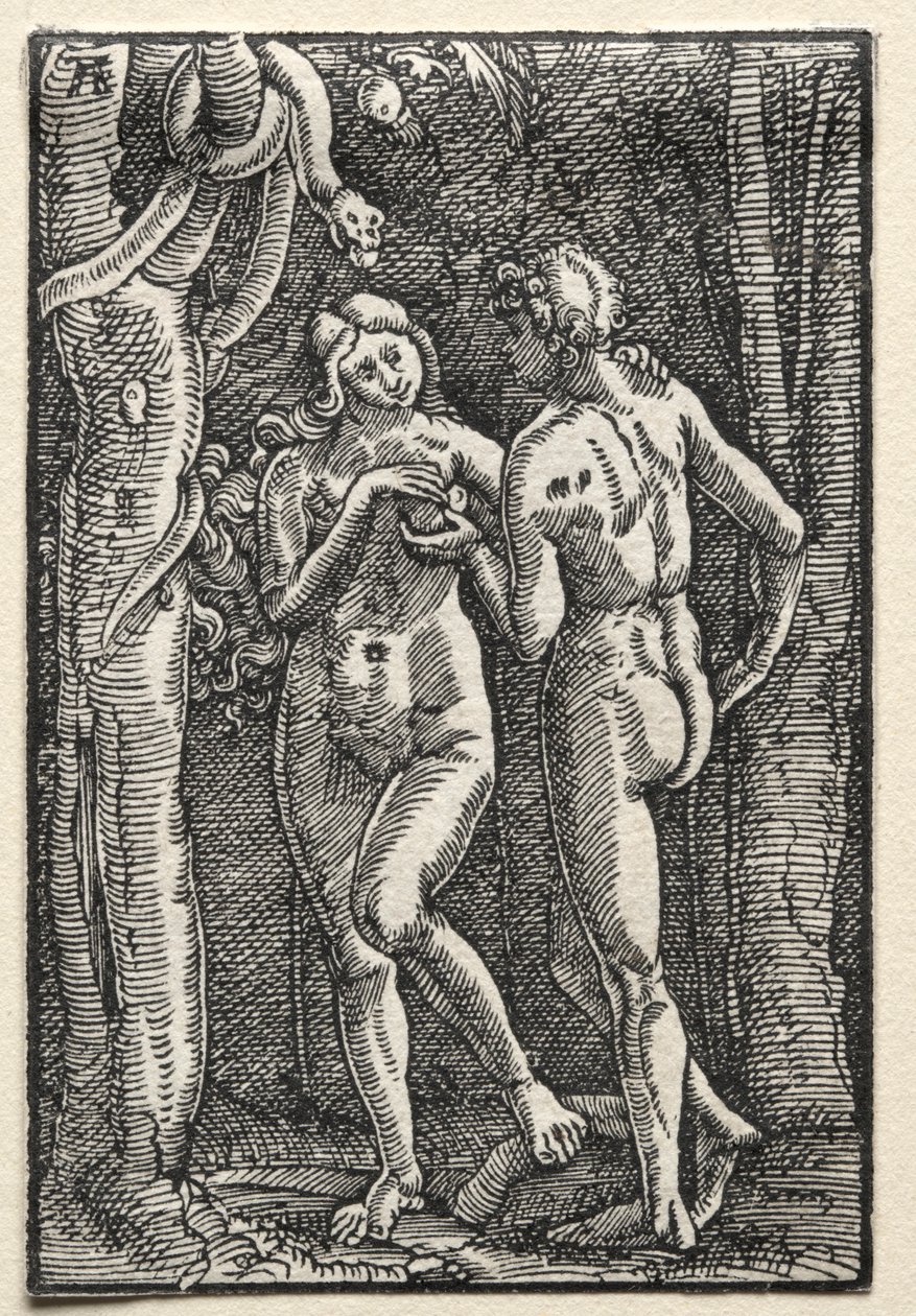 Menneskets fald og forløsning: Adam og Eva spiser den forbudte frugt, ca. 1515. af Albrecht Altdorfer