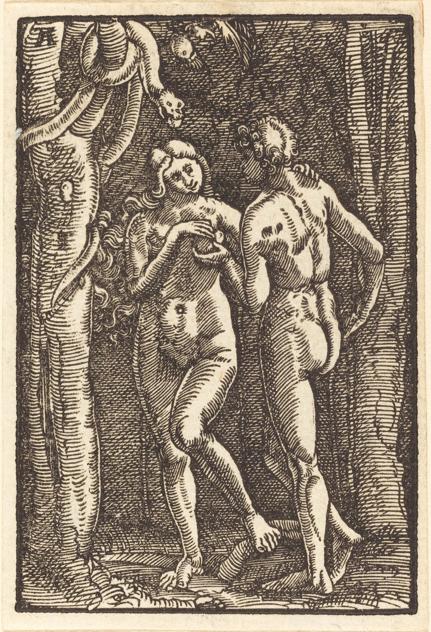 Menneskets Fald af Albrecht Altdorfer