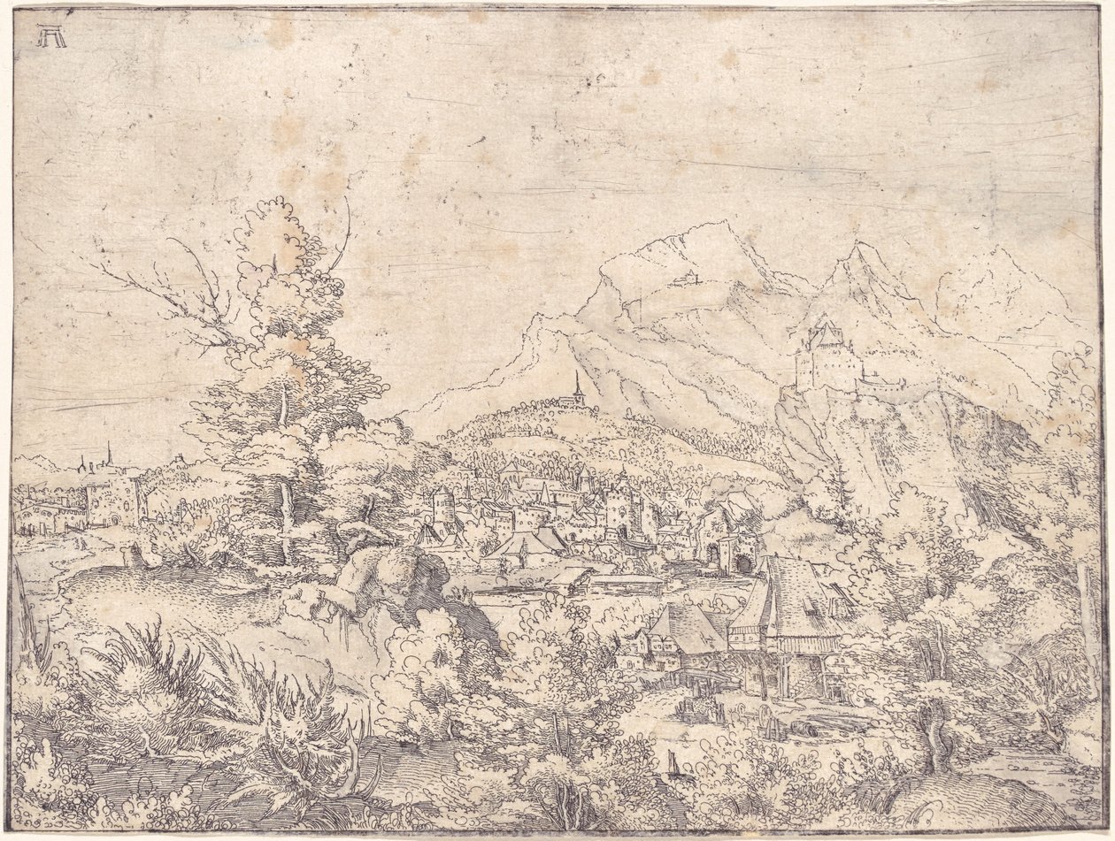 Det store landskab med vandmøllen af Albrecht Altdorfer