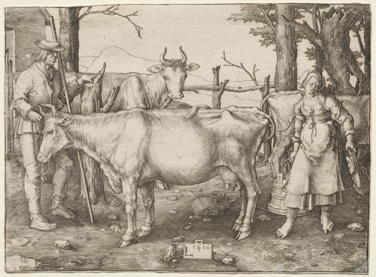 Mælkepigen af Albrecht Altdorfer
