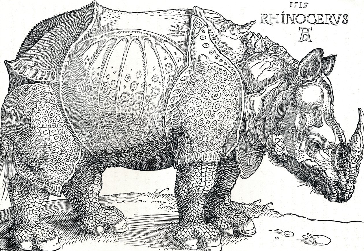 Et næsehorn, 1515, 1906 af Albrecht Dürer