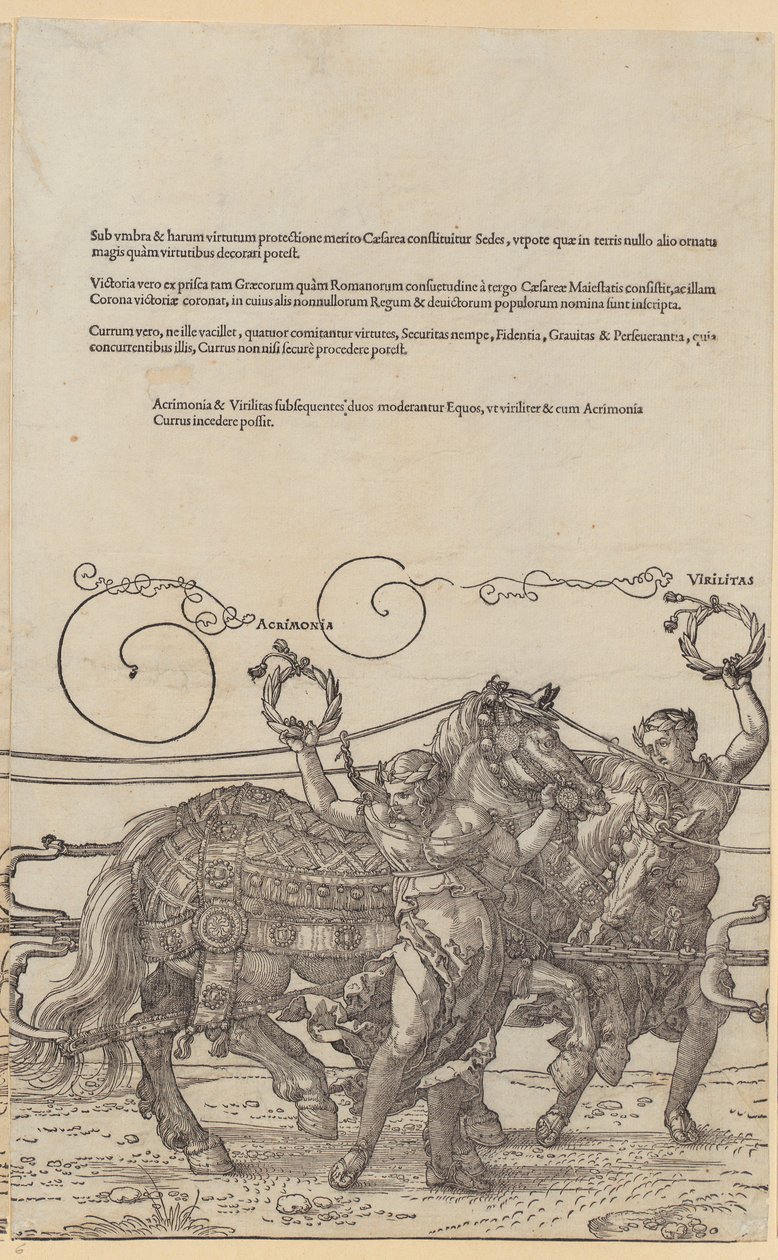 Acrimonia, tavle 6 fra serien »Den store triumfvogn« af Albrecht Dürer