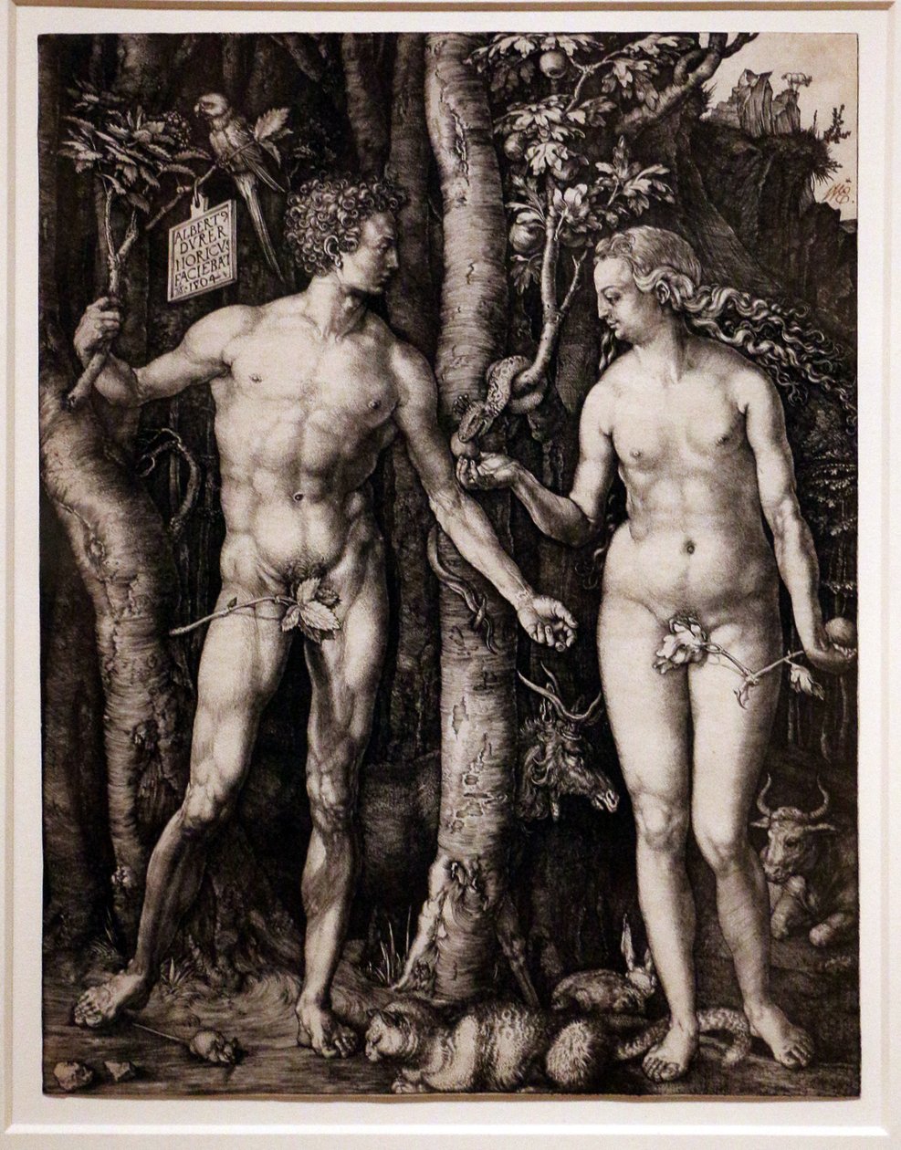 Adam og Eva af Albrecht Dürer