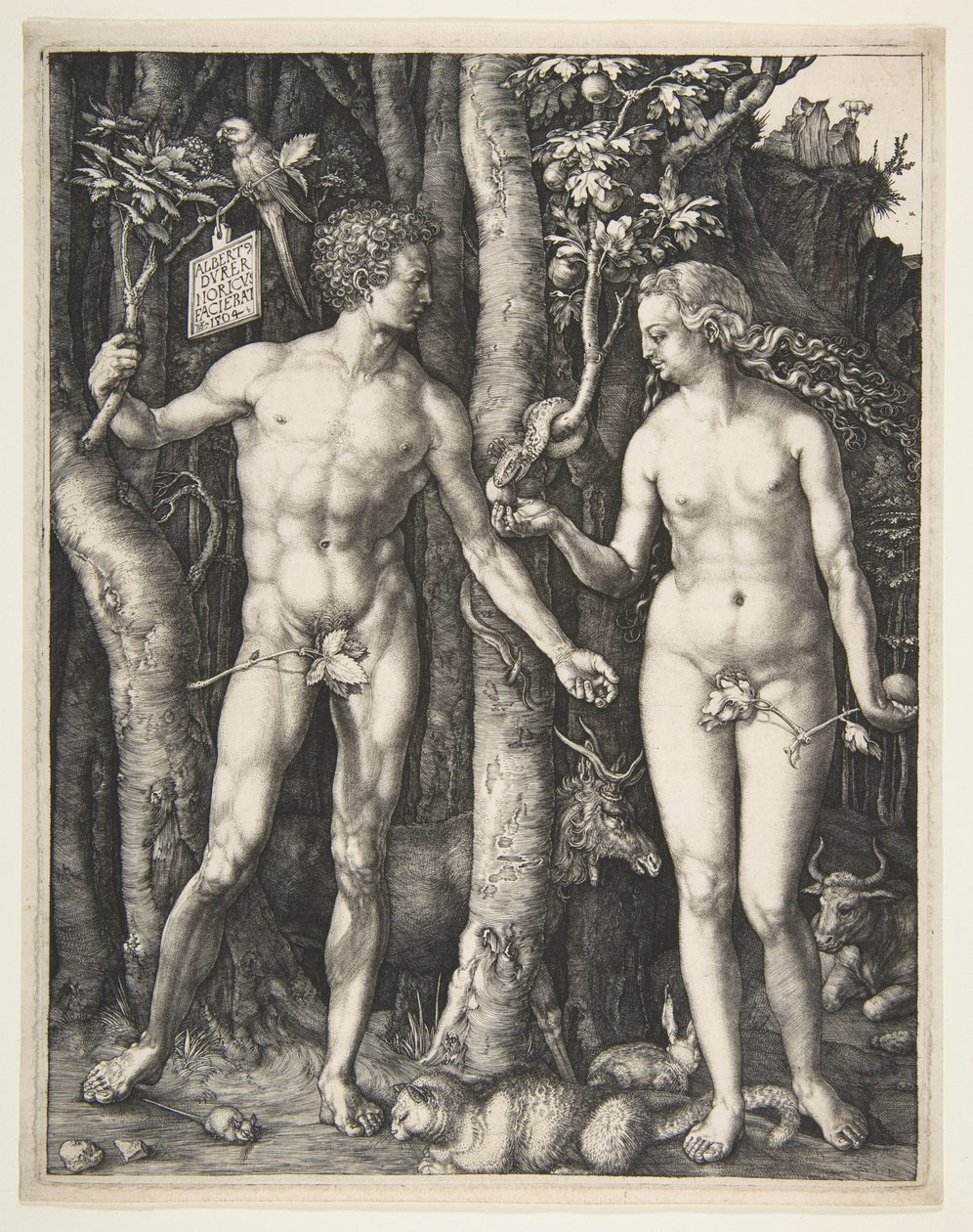 Adam og Eva, 1504 af Albrecht Dürer