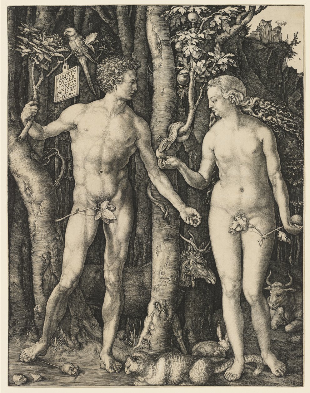 Adam og Eva, 1504 af Albrecht Dürer