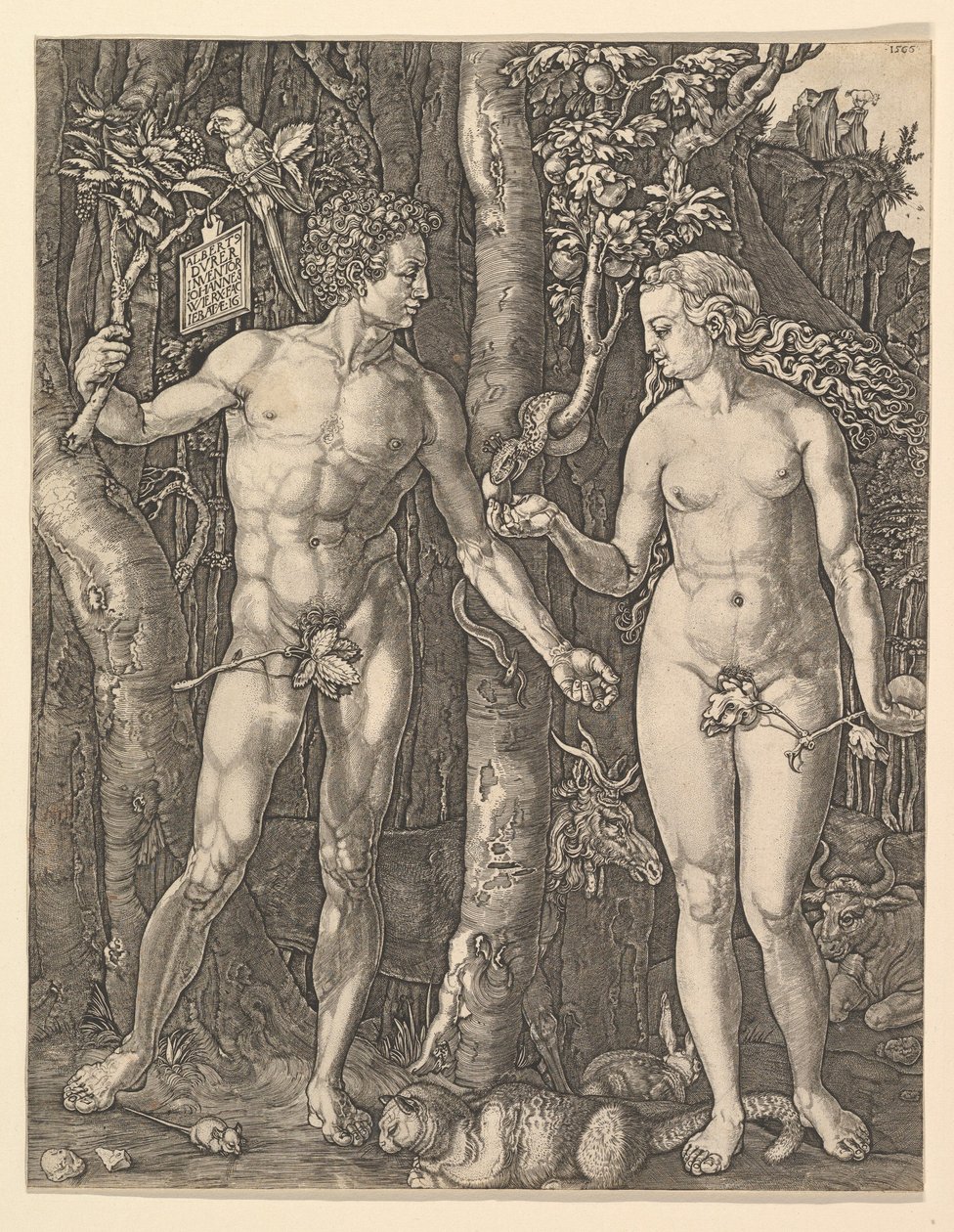 Adam and Eve, 1566. dani af Albrecht Dürer