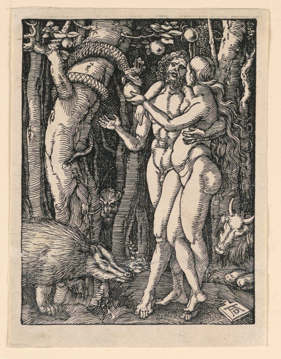 Adam og Even, fra The Little Passion Series af Albrecht Dürer
