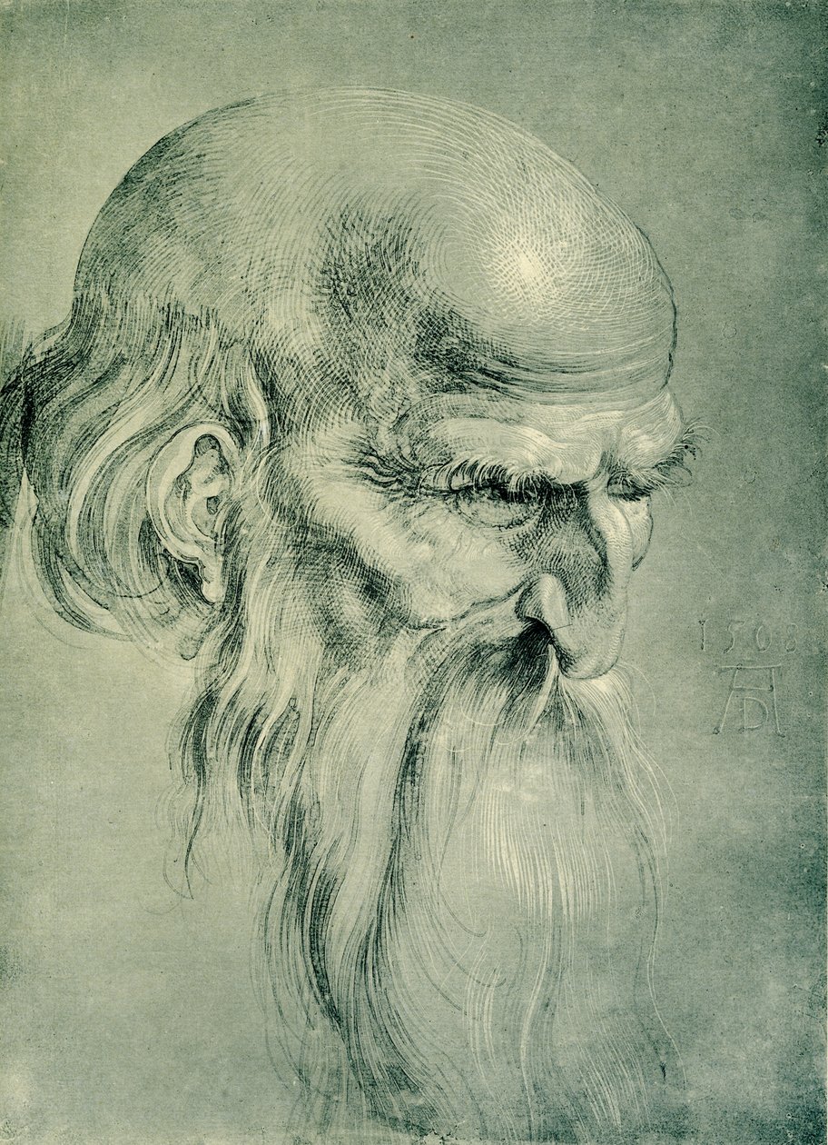 Apostelhoved af Albrecht Dürer