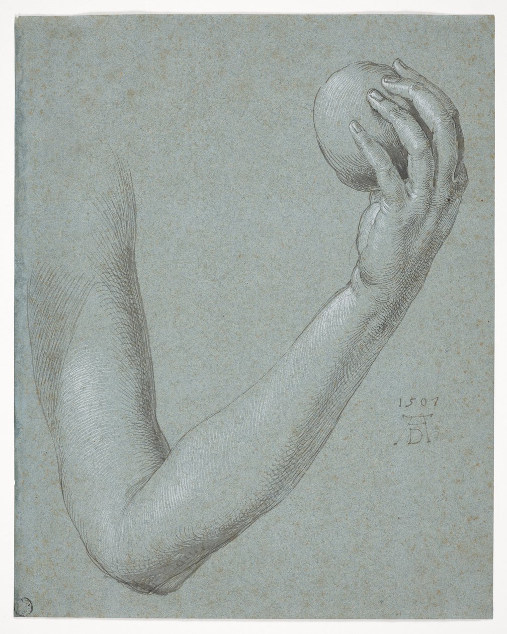 Evas arm af Albrecht Dürer