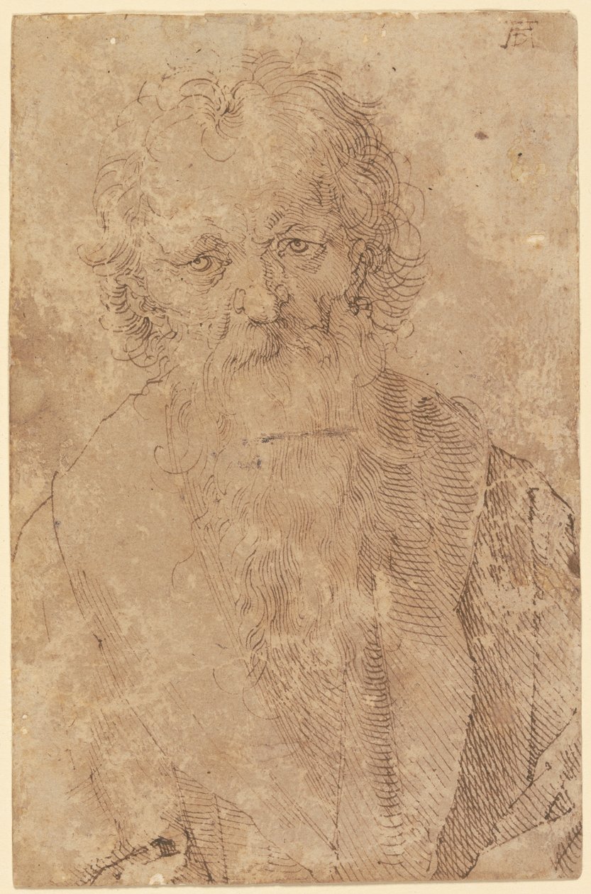 Skægget gammel mand af Albrecht Dürer