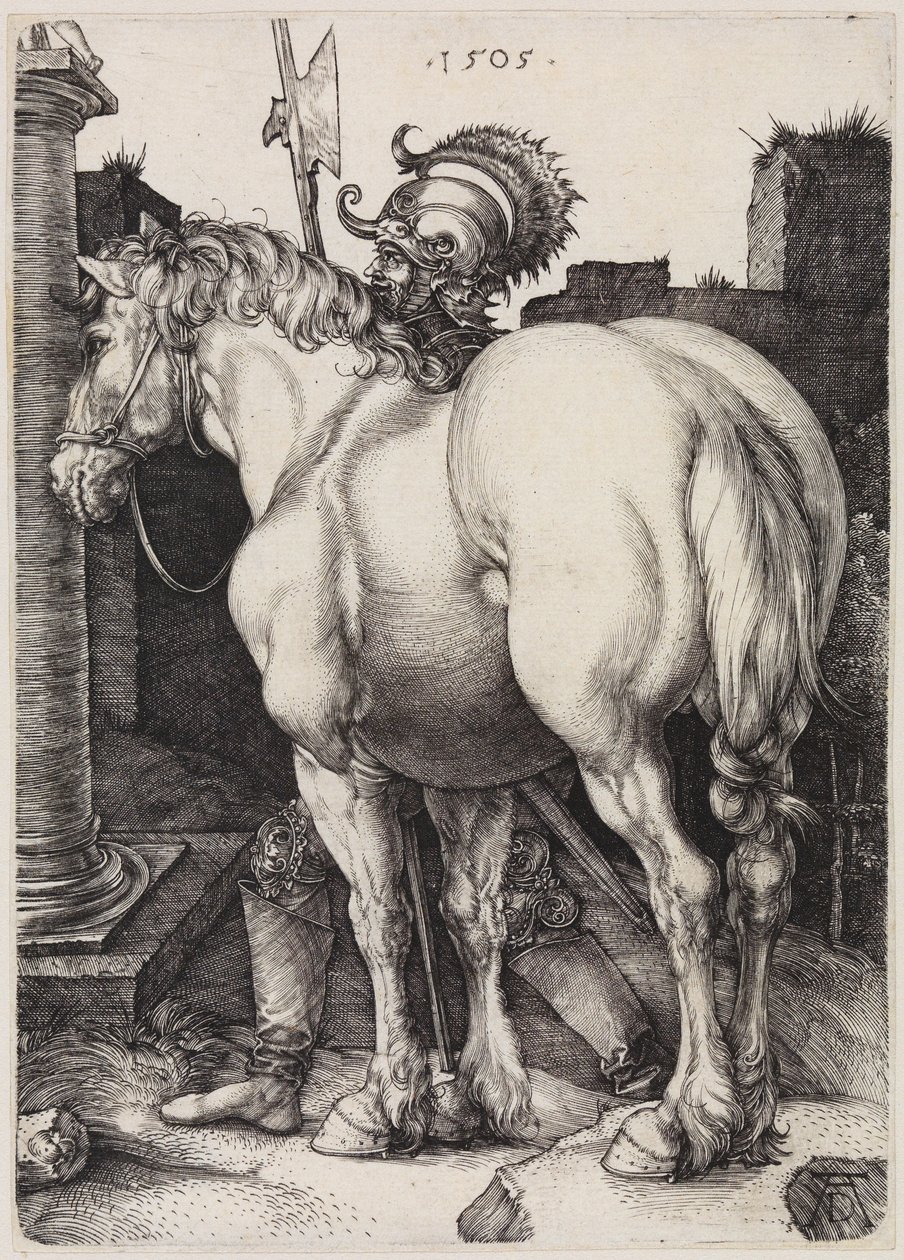 Den store hest af Albrecht Dürer
