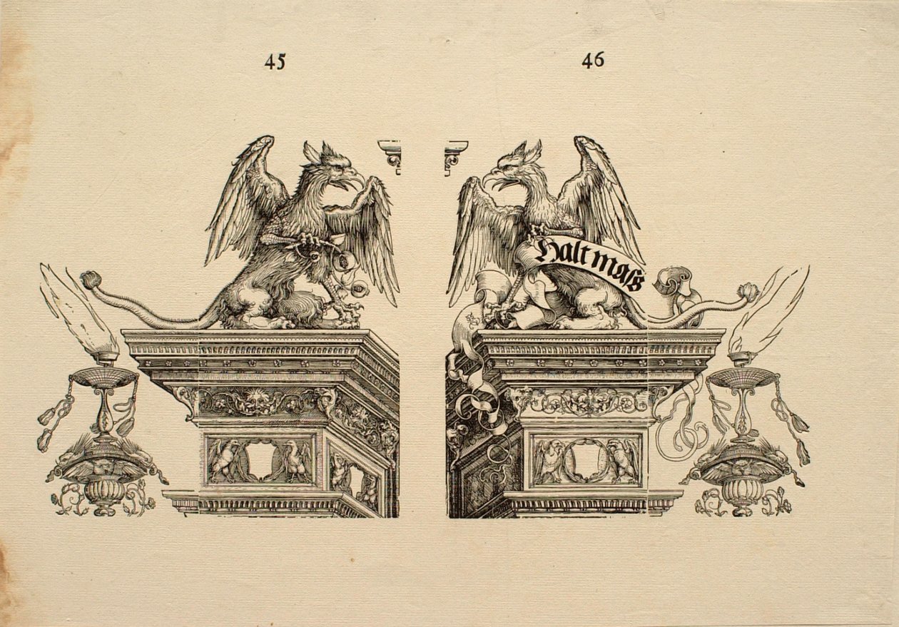 Detalje 45 og 46 af Albrecht Dürer