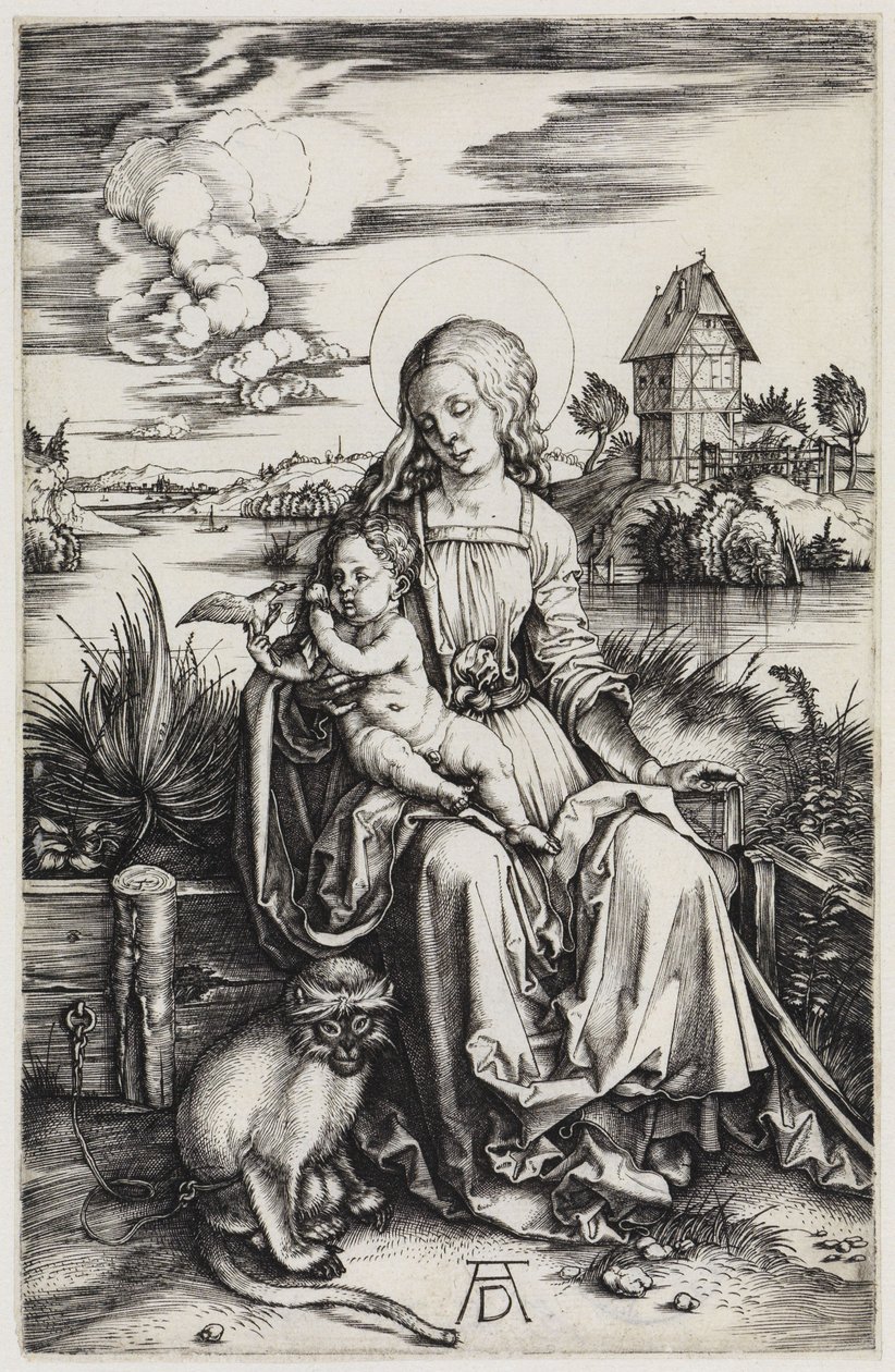 Madonnaen med havaben af Albrecht Dürer