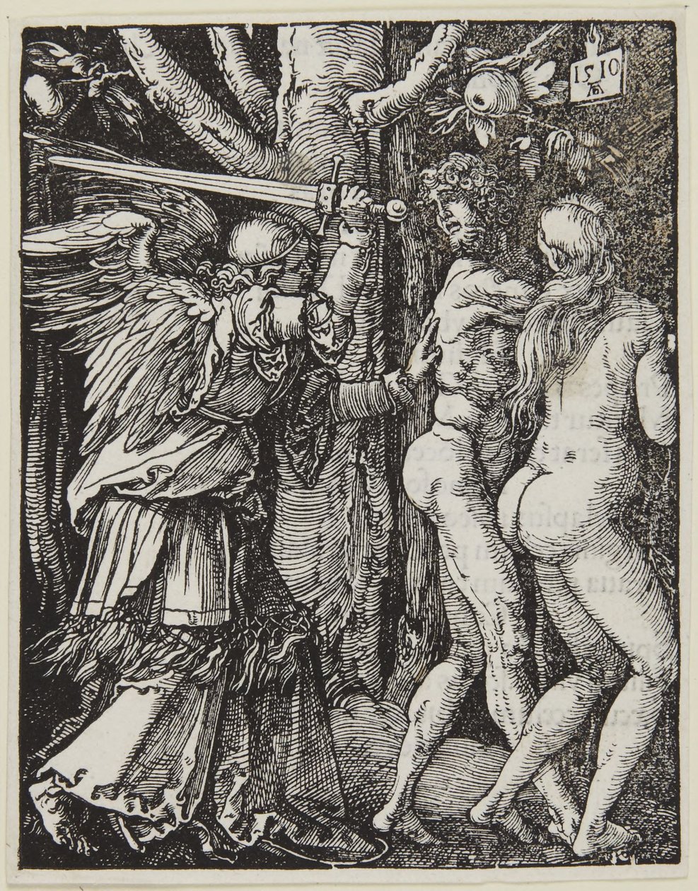 Uddrivelsen af Paradiset af Albrecht Dürer