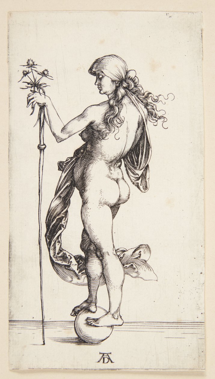 Formue af Albrecht Dürer
