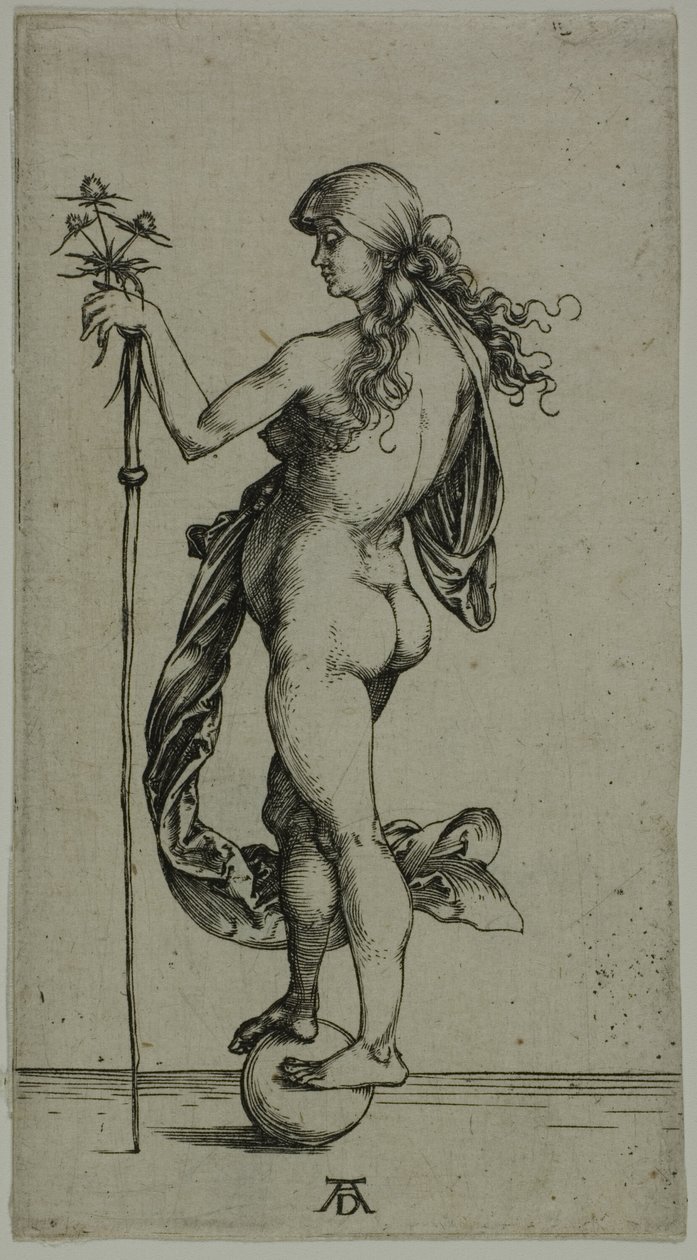Formue af Albrecht Dürer