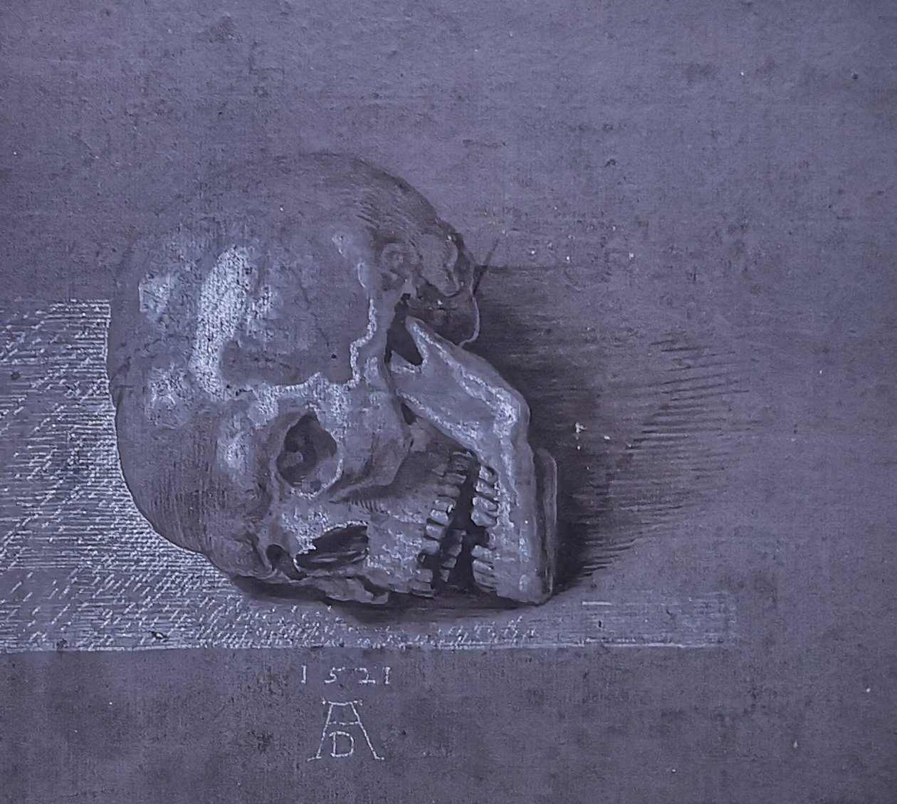 Tysk: Totenschädel. af Albrecht Dürer